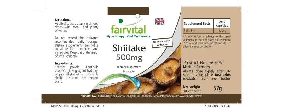 Shiitake 500mg - pure paddenstoel - 90 capsules