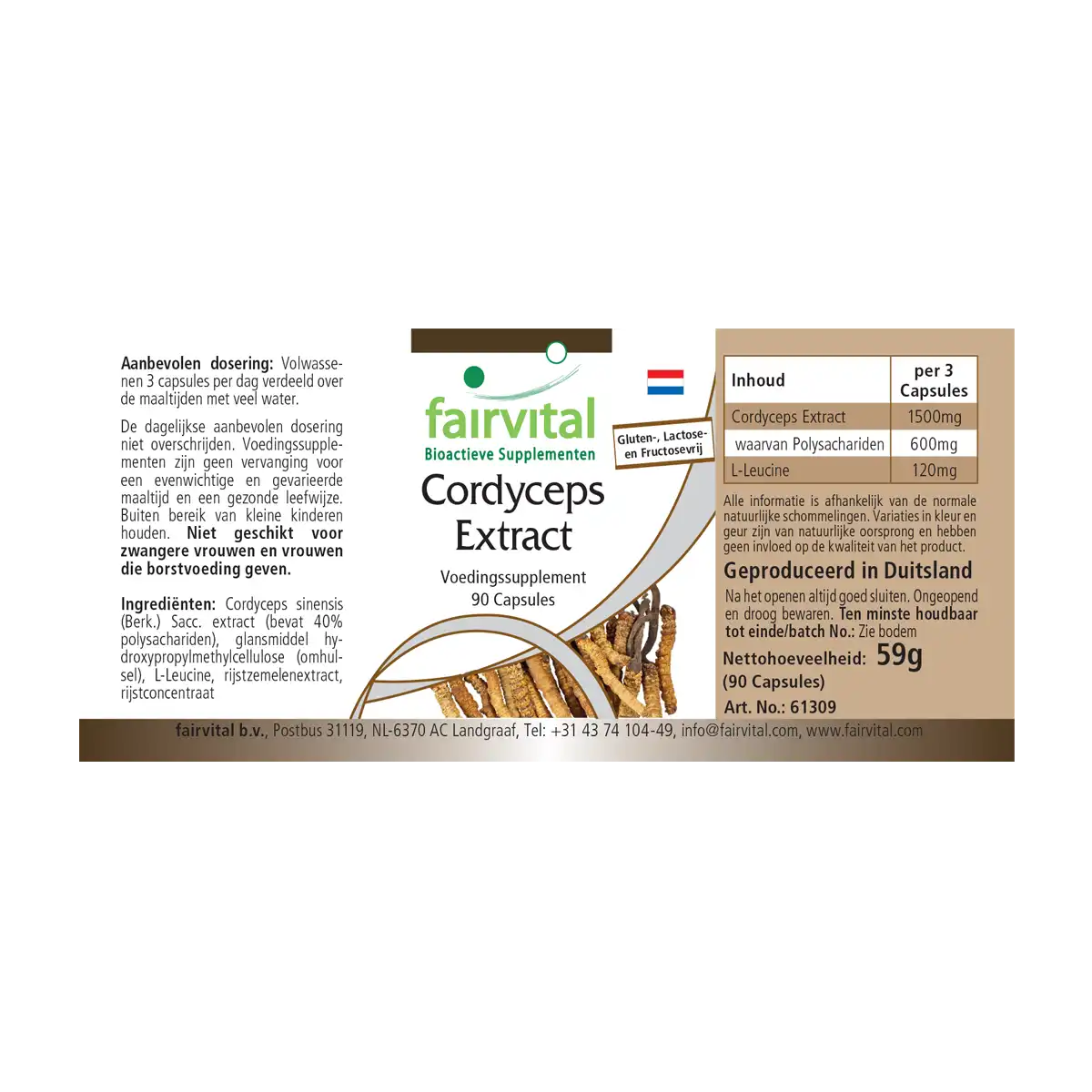 Estratto di Cordyceps – 90 capsule