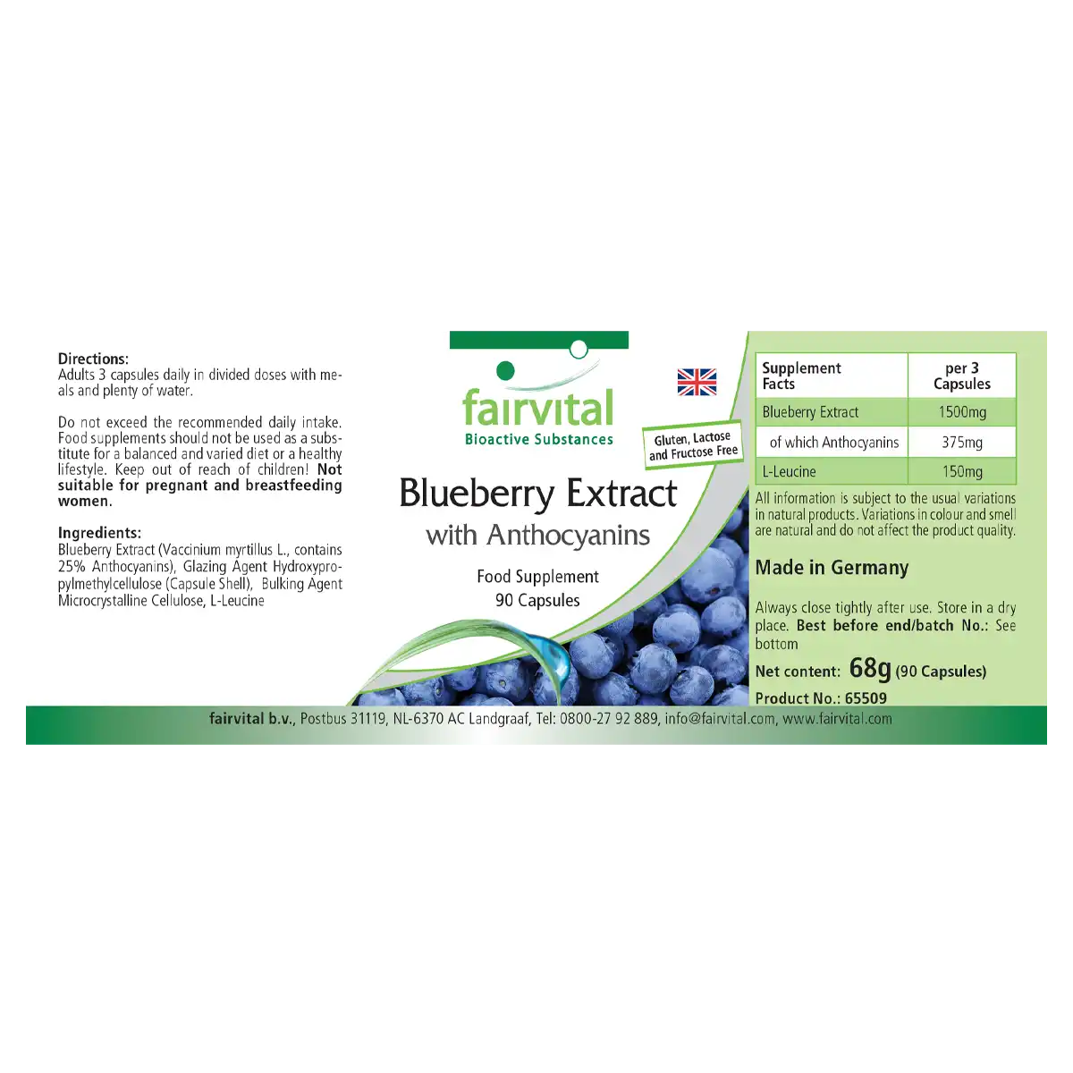Bilberry extract with anthocyanins - 90 capsules