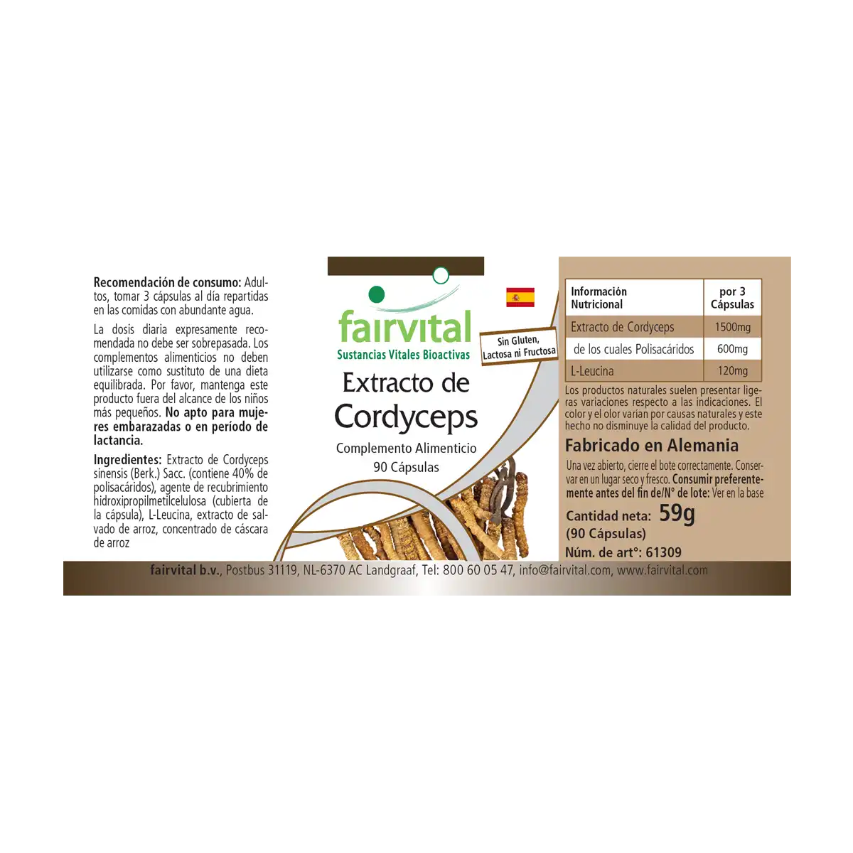 Estratto di Cordyceps – 90 capsule