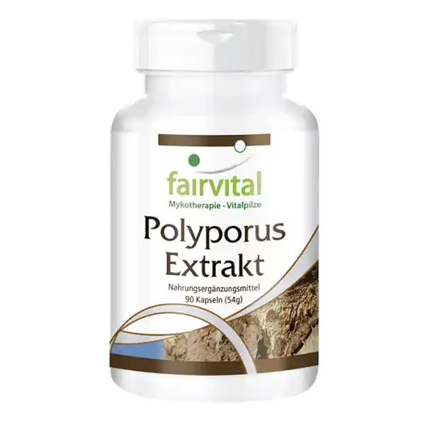 Polyporus extract 500mg