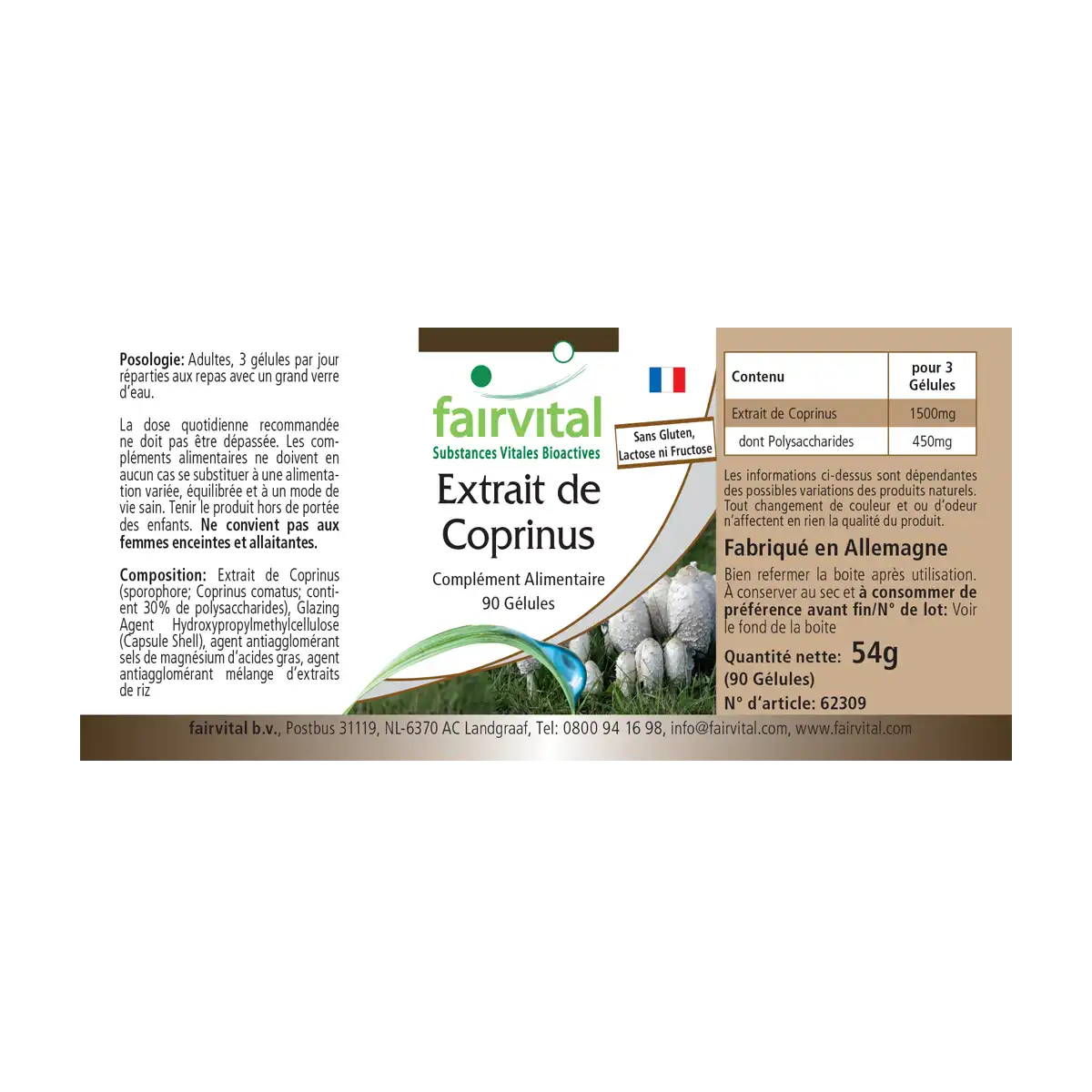 Coprinus extract 500mg - 90 capsules