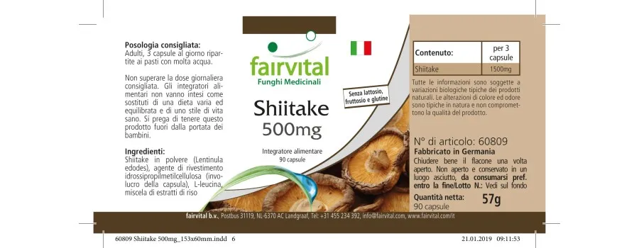 Shiitake 500mg - pure paddenstoel - 90 capsules