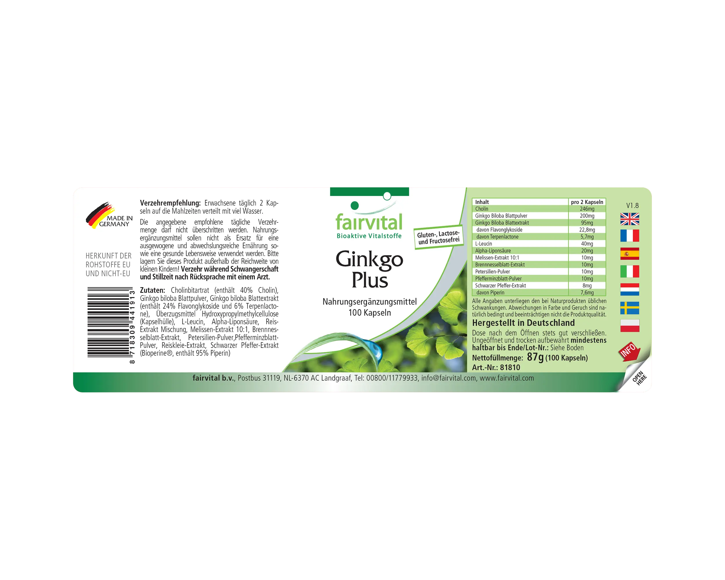 Ginkgo Plus - 100 capsules