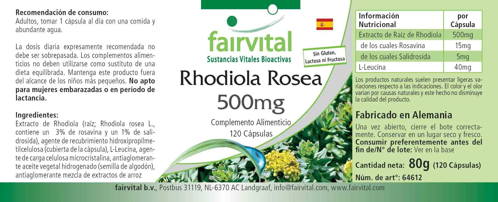 Rhodiola Rosea 500mg - 120 Kapseln - Rosenwurz Wurzel Extrakt - Hochdosiert und Vegan | Fairvital Rhodiola Rosea 500mg - 120 Kapseln - Rosenwurz Wurzel Extrakt - Hochdosiert und Vegan | Fairvital