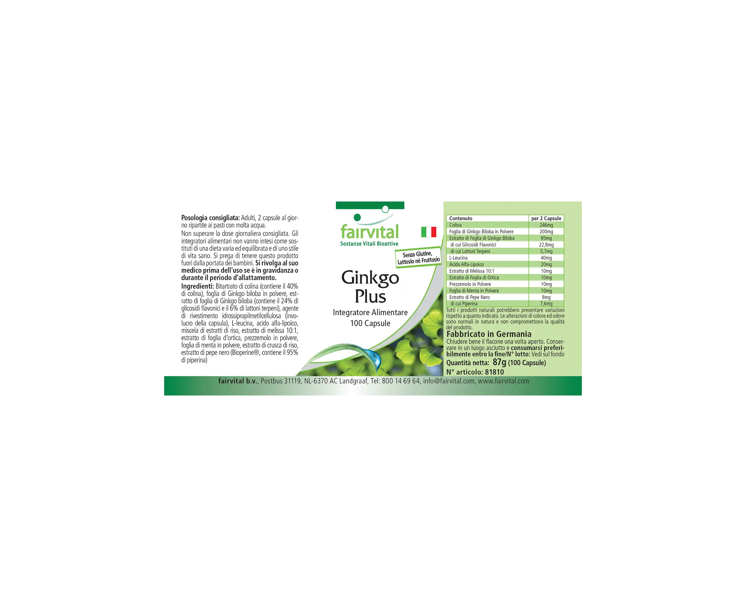 Ginkgo Plus - 100 capsules