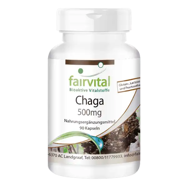 Chaga - geneeskrachtige paddenstoel 500mg - 90 capsules