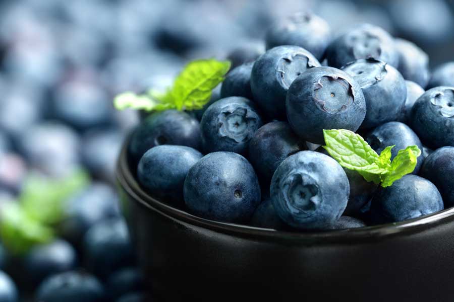 antioxidantien