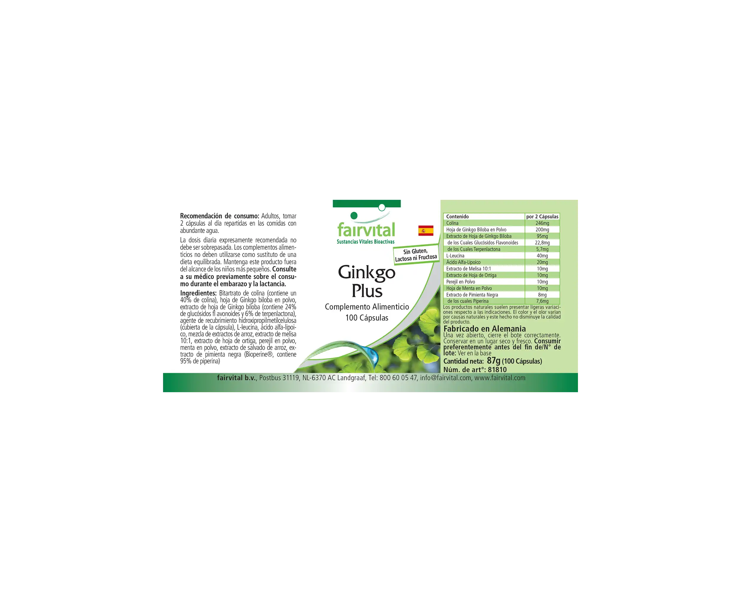 Ginkgo Plus - 100 capsules