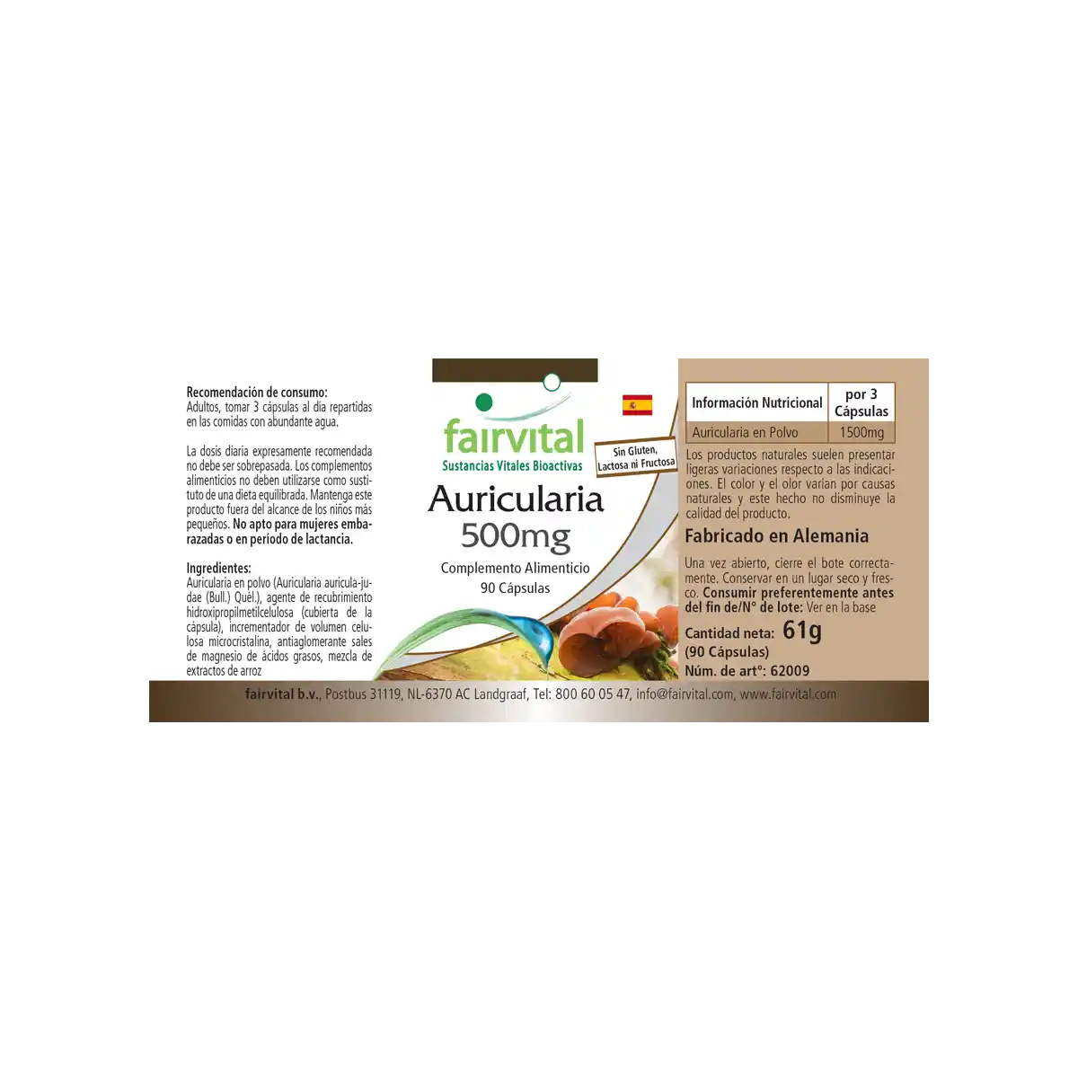 Auricularia 500mg - 90 gélules