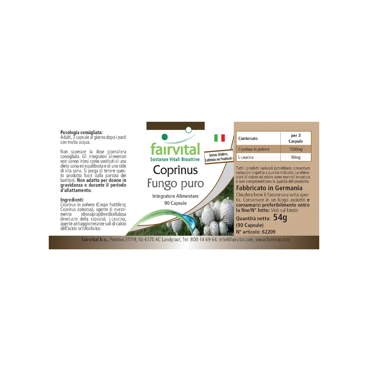 Coprinus 500mg - 90 capsule