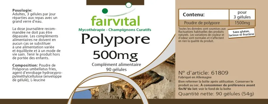 Polyporus 500mg