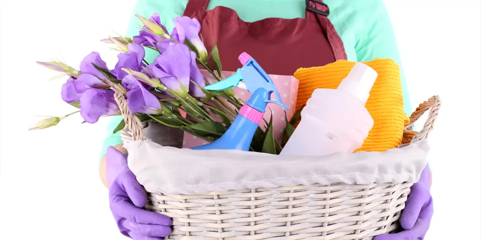 Zeit für den Frühjahrsputz: So putzen Sie erfolgreich Zeit für den Frühjahrsputz: So putzen Sie erfolgreich