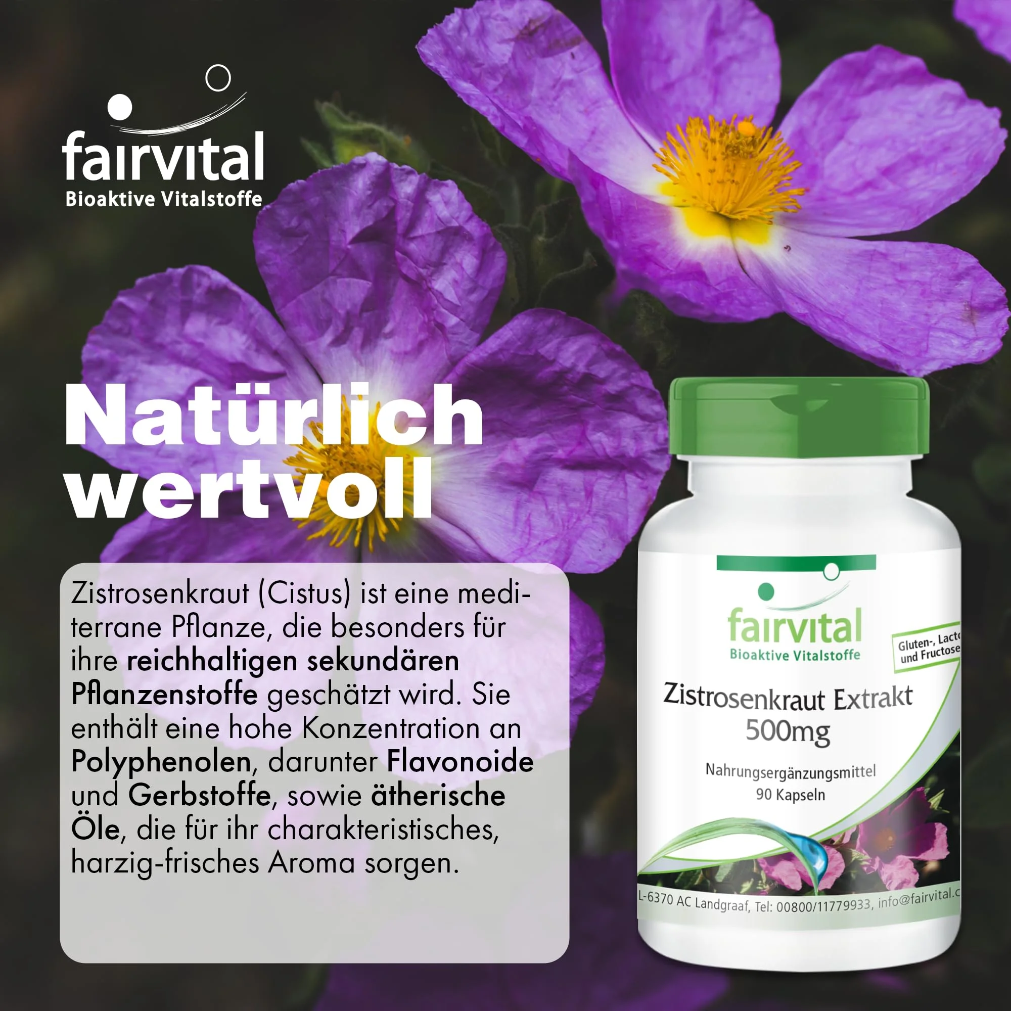 Zistrosenkraut Extrakt 500mg - 90 Kapseln - Cistus Incanus - Vegan | Fairvital