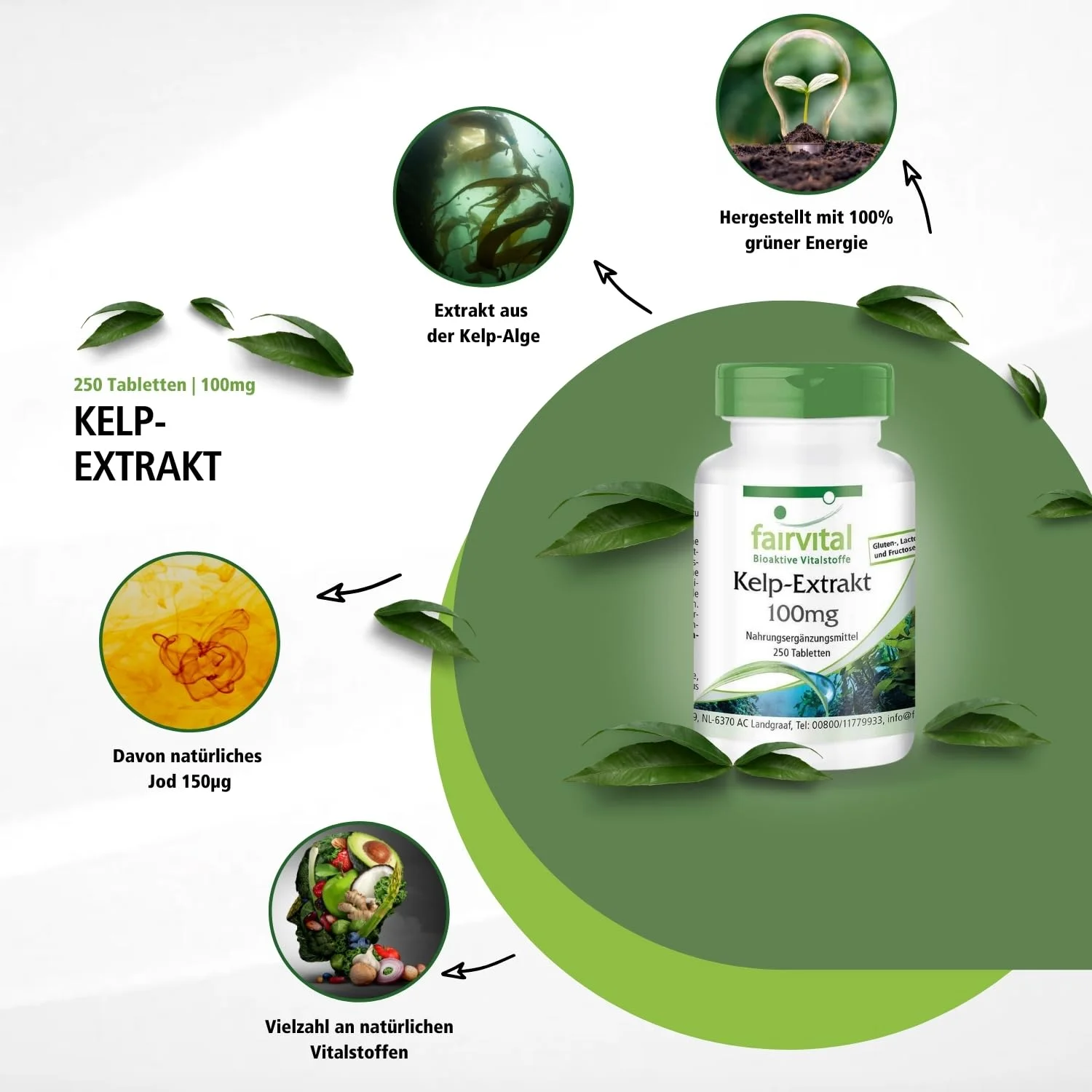 Kelp-Extrakt 100mg - 250 Tabletten - Schluckfreundlich - Für Haut; Schilddrüse; Nervensystem uvm. | Fairvital