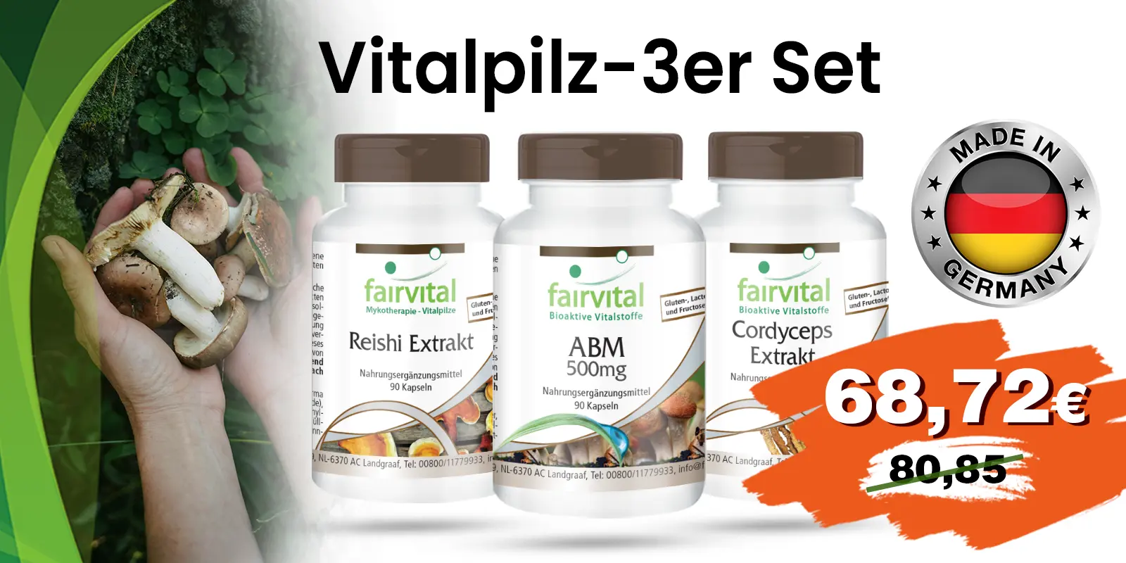 Vitalpilz set 1600x800px renew_(1)