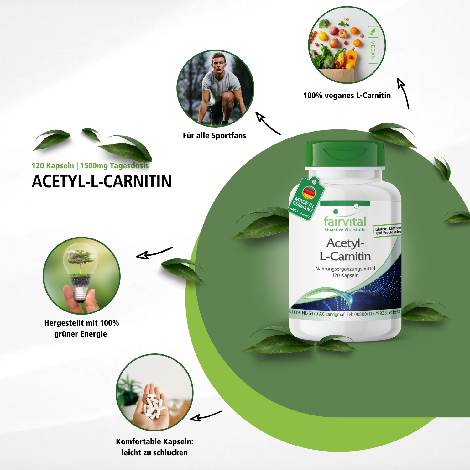 Acetyl-L-Carnitin - 120 Kapseln - Hochdosiert und Vegan | Fairvital