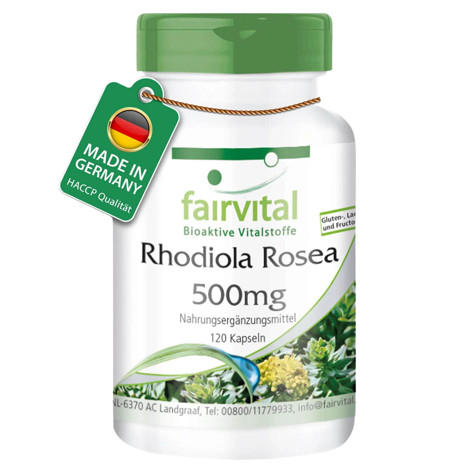 Rhodiola Rosea 500mg - 120 Kapseln - Rosenwurz Wurzel Extrakt - Hochdosiert und Vegan | Fairvital Rhodiola Rosea 500mg - 120 Kapseln - Rosenwurz Wurzel Extrakt - Hochdosiert und Vegan | Fairvital