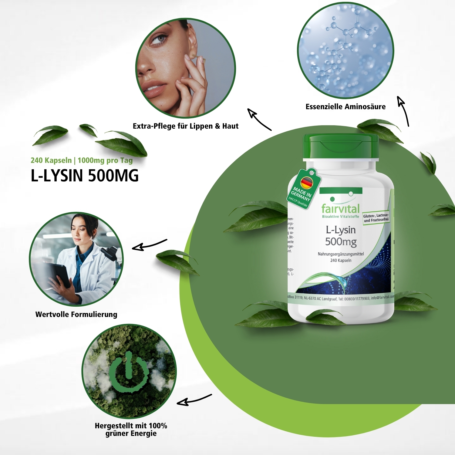 L-Lysin 500mg - 240 Kapseln - vegan | Fairvital