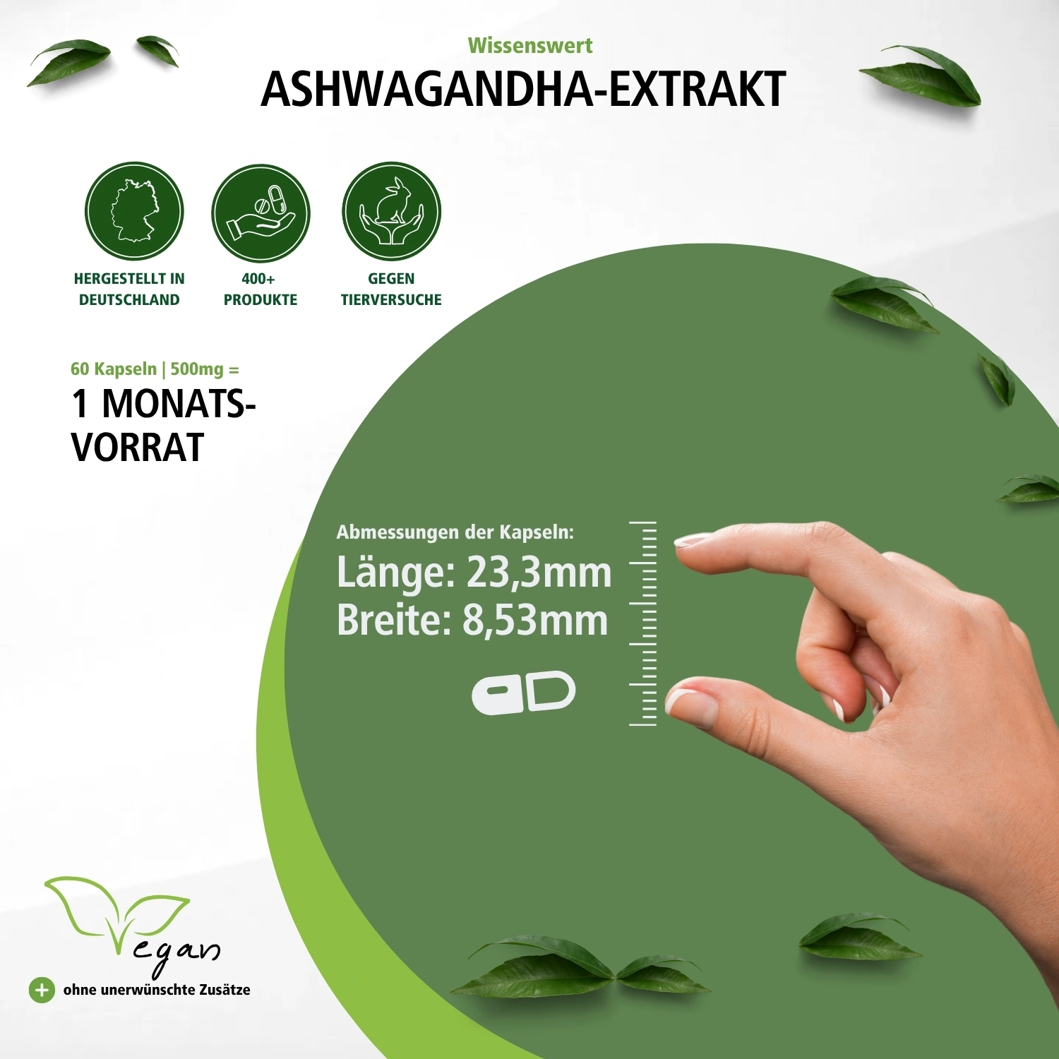Ashwagandha Extrakt - 60 Kapseln  - Hochdosiert und Vegan | Fairvital