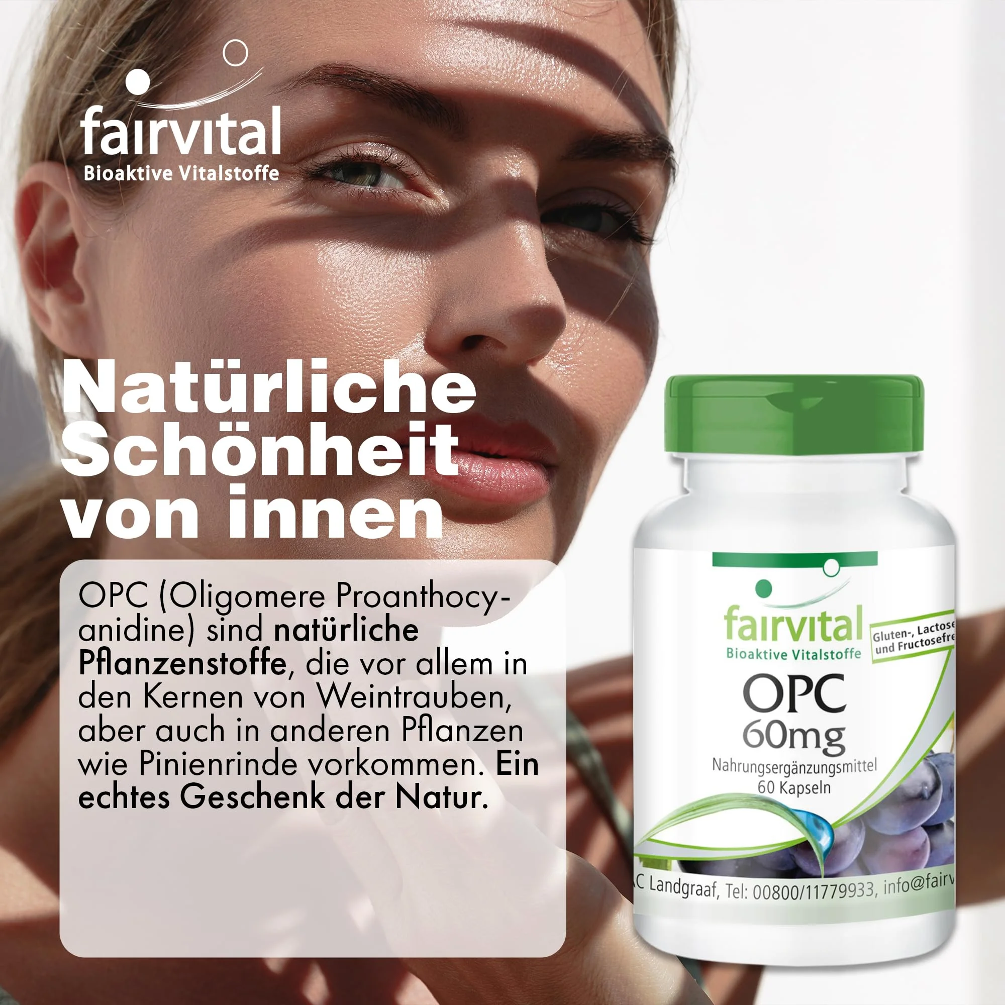 OPC 60mg - 60 Kapseln - Schluckfreundlich - oligomere Proanthocyanidine - Hochdosiert und Vegan | Fairvital