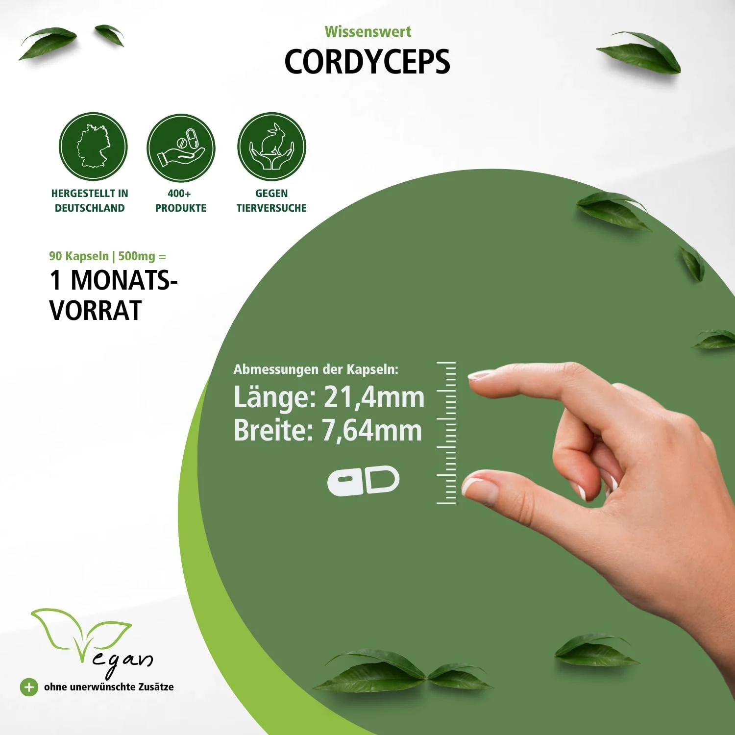 Cordyceps 500mg - 90 Kapseln - Schluckfreundlich - Cordyceps Sinensis (Raupenpilz) - Hochdosiert und Vegan | Fairvital