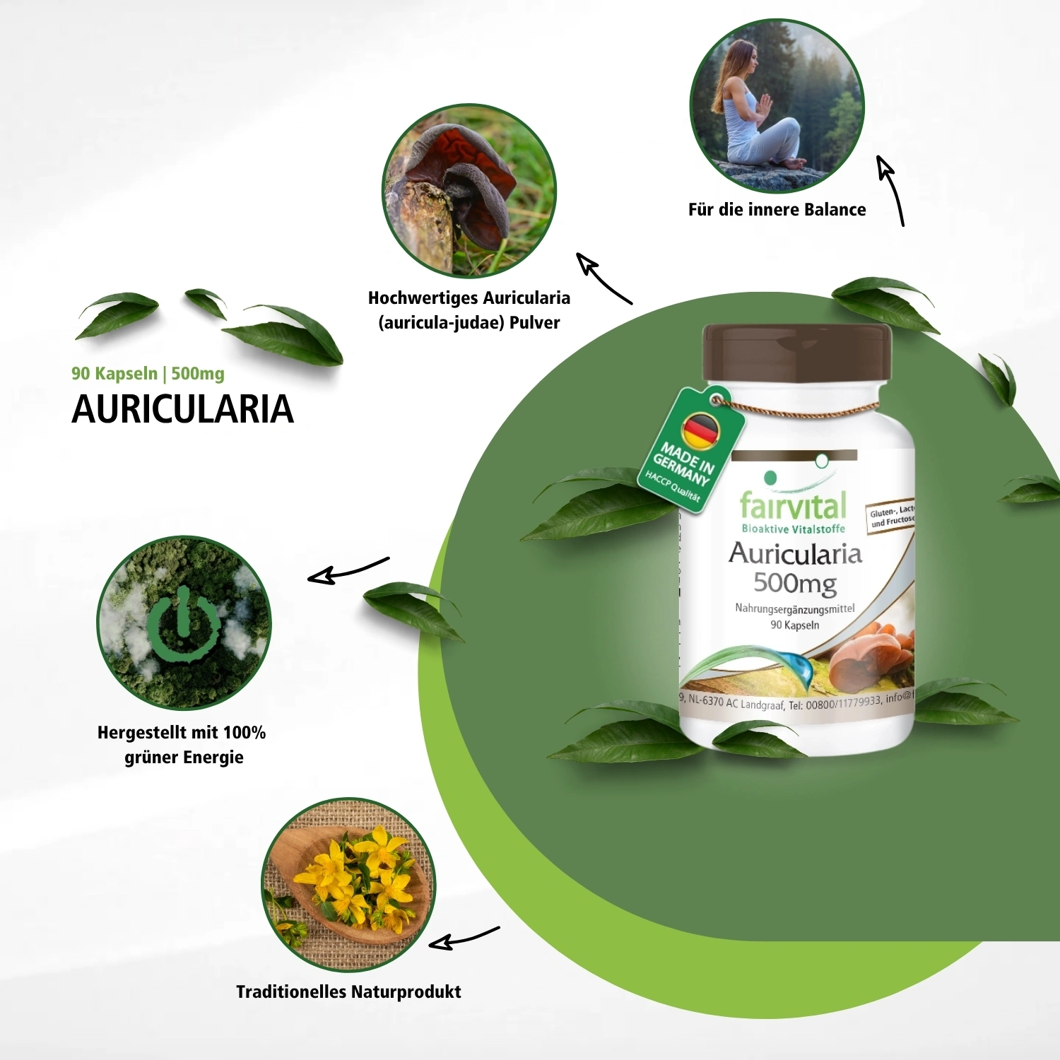 Auricularia 500mg - 90 Kapseln - Schluckfreundlich - Hochdosiert und vegan | Fairvital
