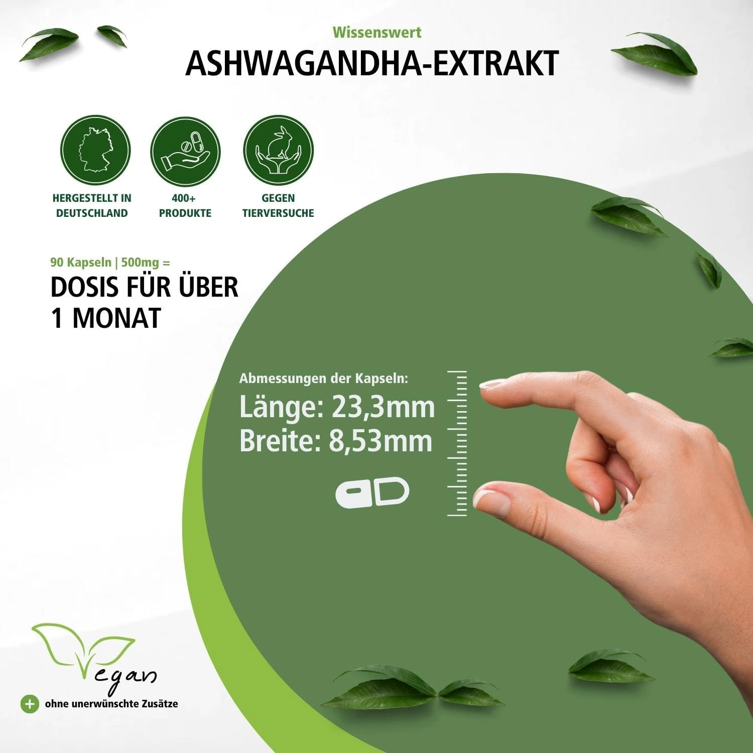 Ashwagandha Extrakt - 90 Kapseln - Hochdosiert und Vegan | Fairvital