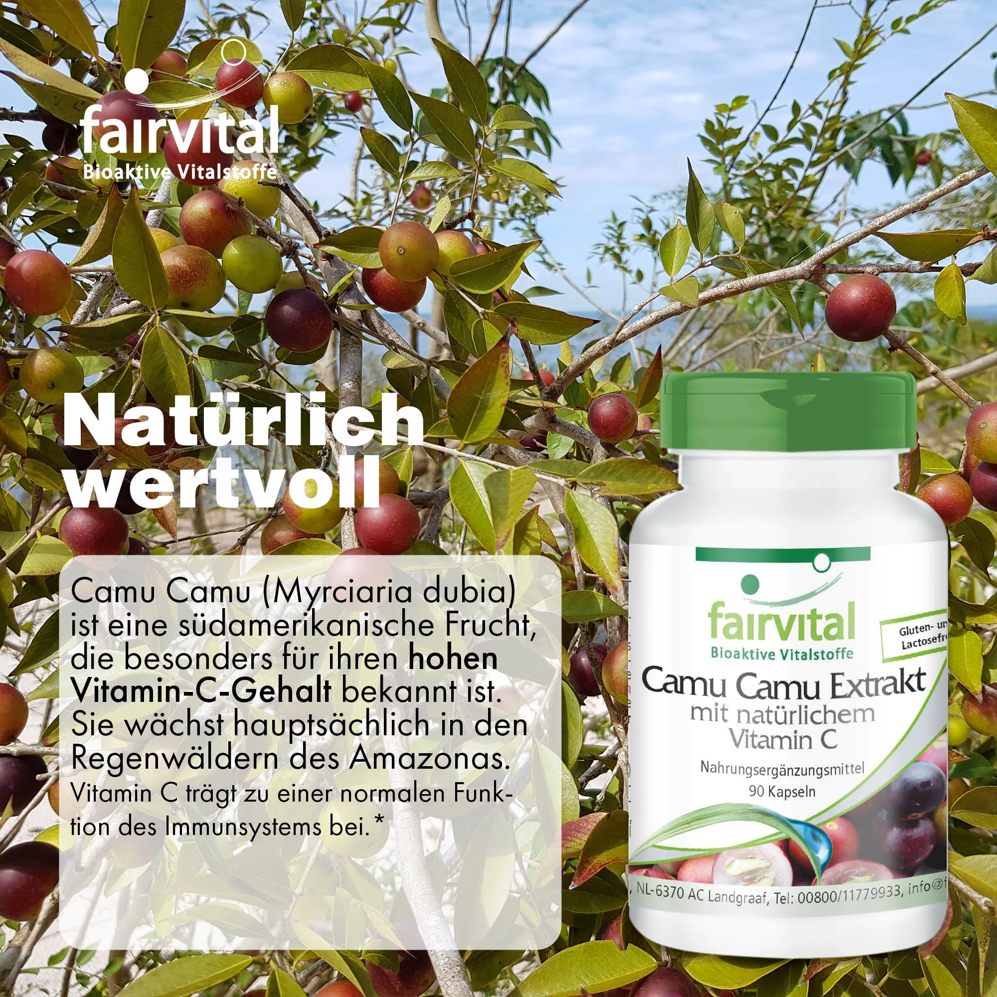 Camu Camu Extrakt mit natürlichem Vitamin C - 90 Kapseln - Schluckfreundlich - Für Immunsystem, Kollagenbildung uvm. - 625% abgedeckter Bedarf - Vegan | Fairvital