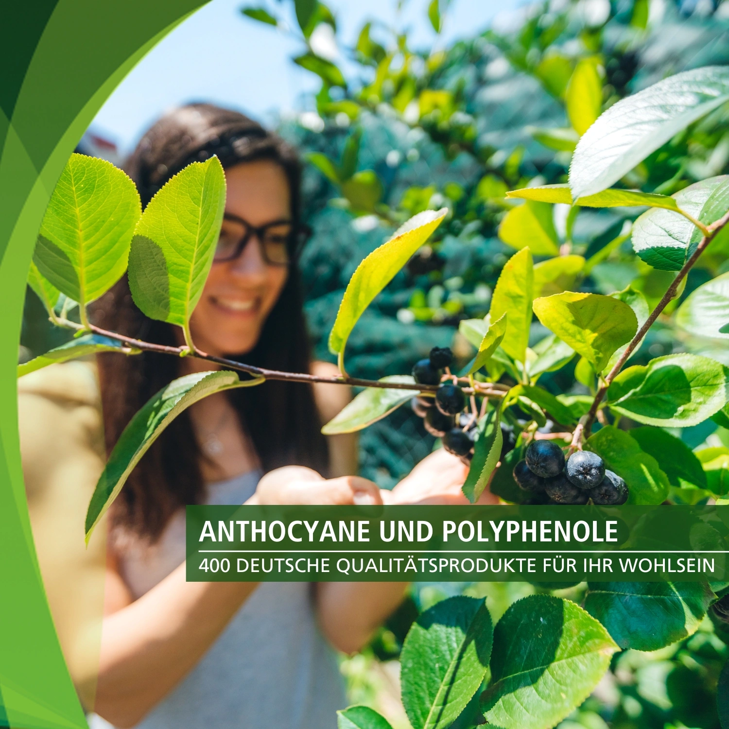 Aronia Kapseln mit Anthocyanen