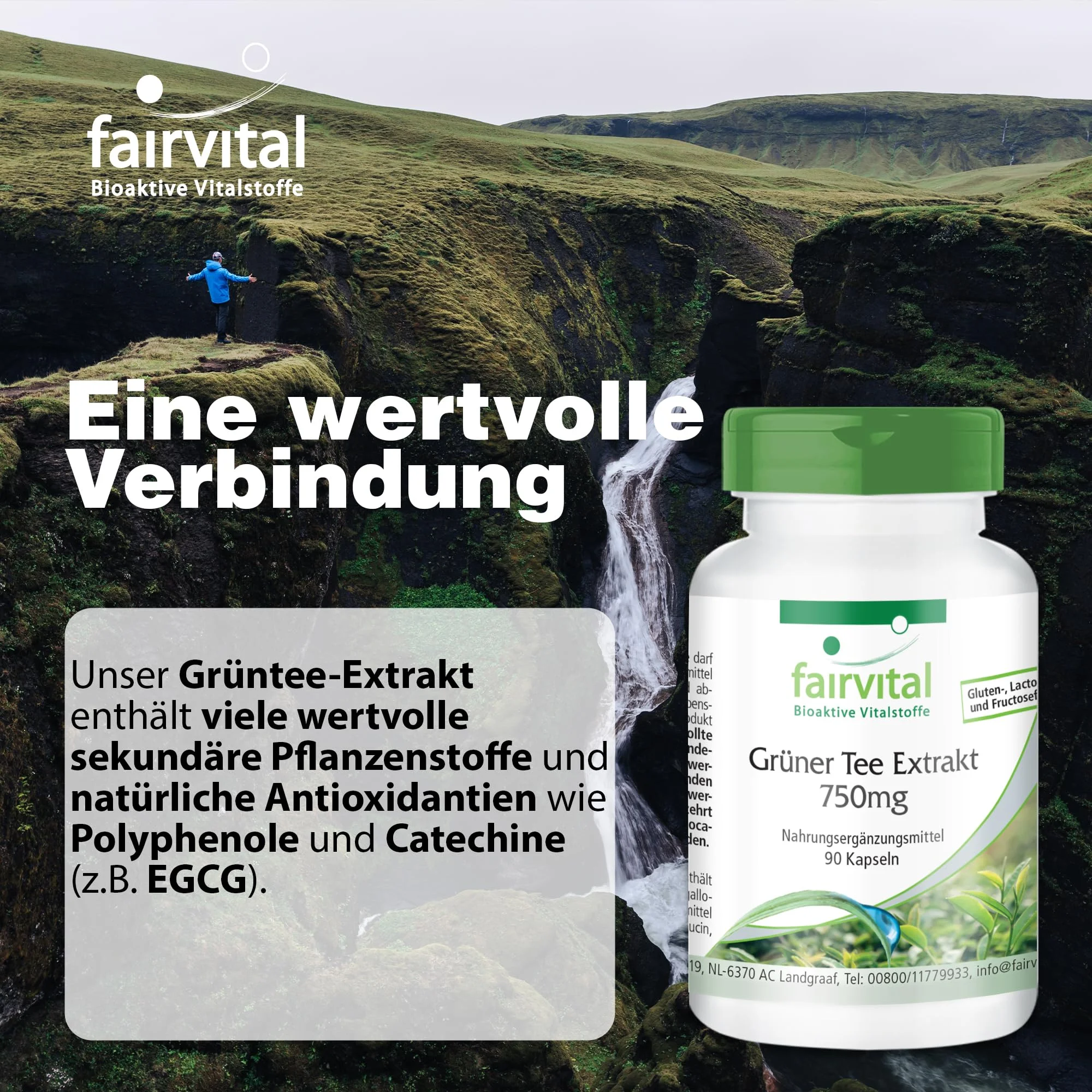 Grüner Kaffee Extrakt 500mg - 90 Kapseln - Schluckfreundlich - Standardisiert auf 45% Chlorogensäure - Hochdosiert und Vegan | Fairvital