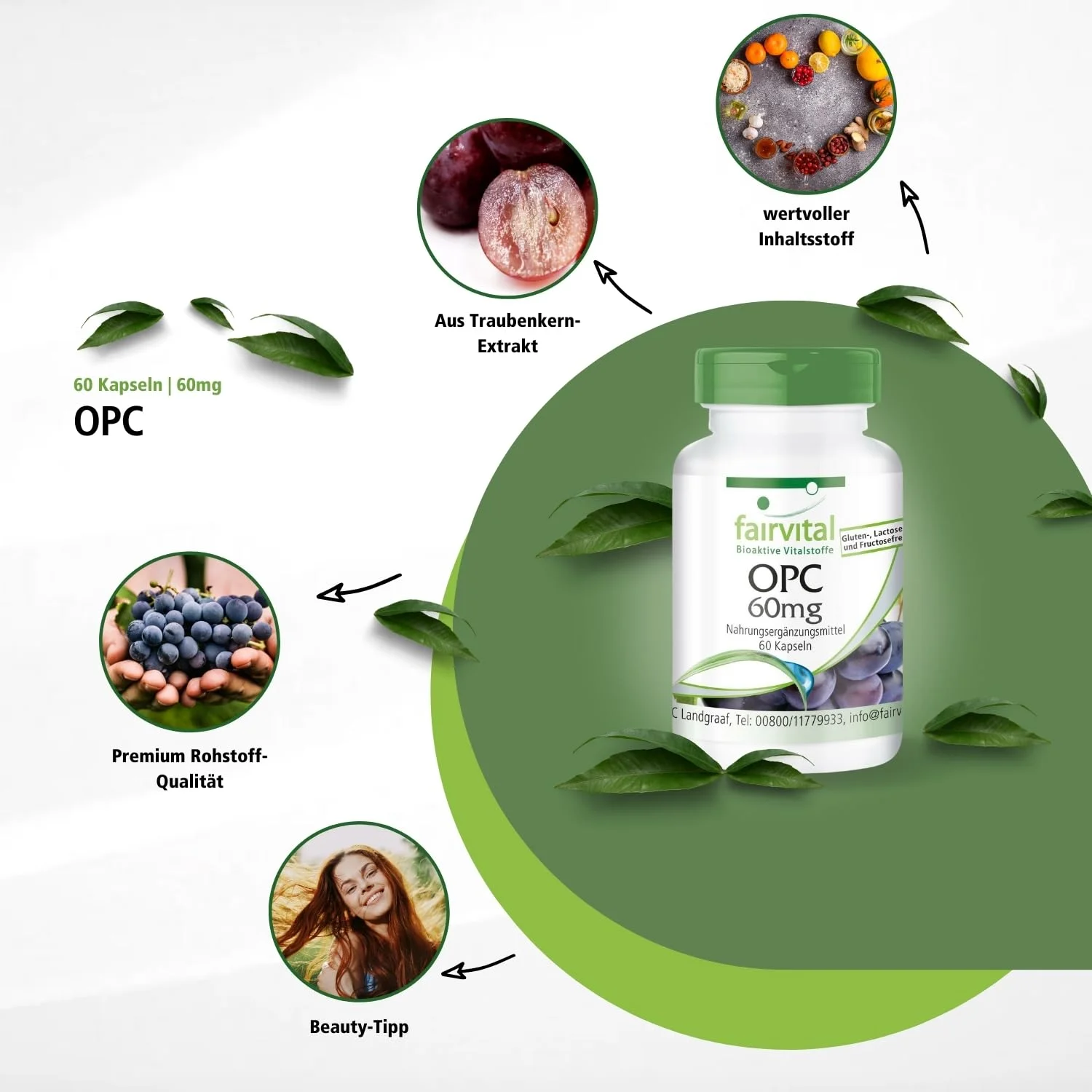 OPC 60mg - 60 Kapseln - Schluckfreundlich - oligomere Proanthocyanidine - Hochdosiert und Vegan | Fairvital