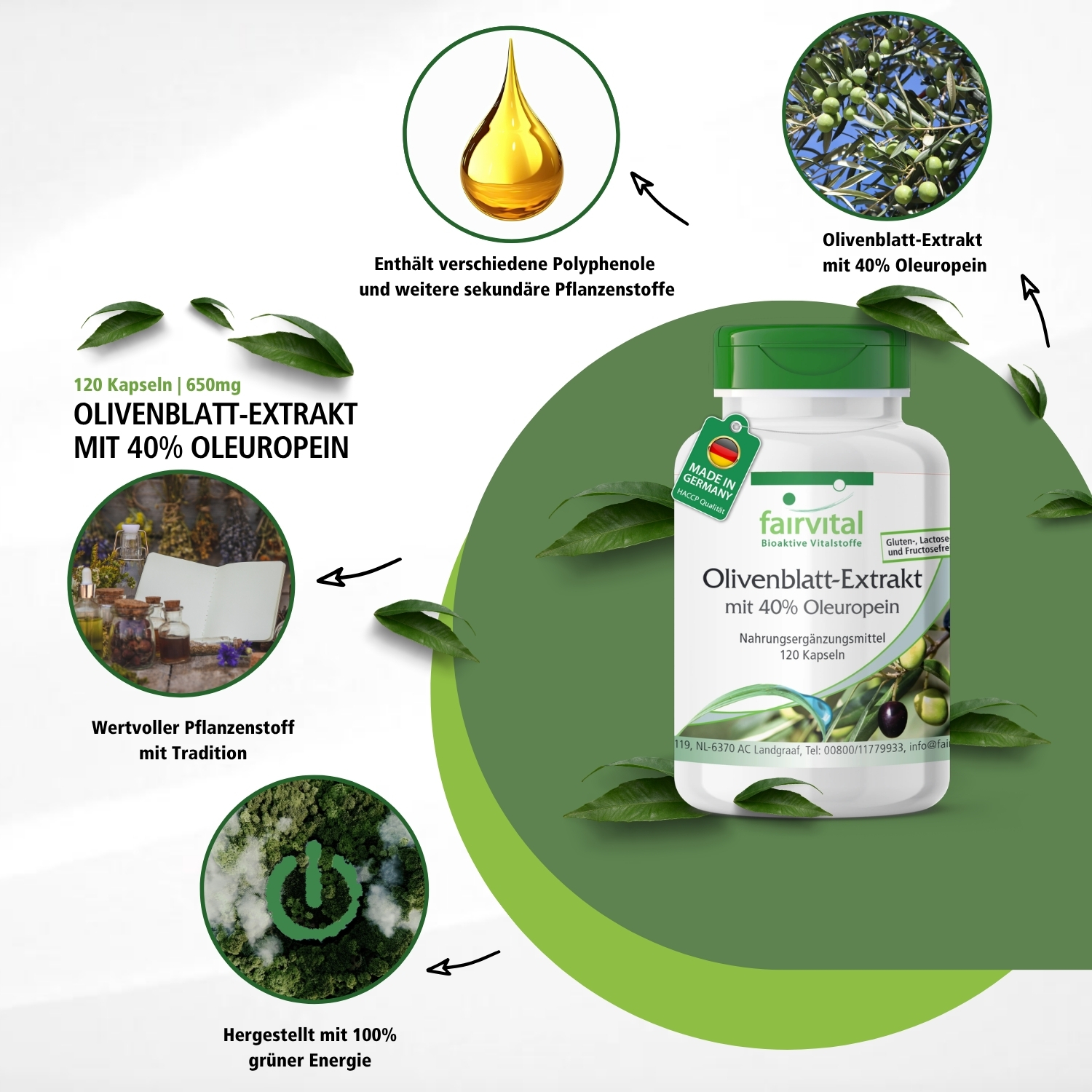 Olivenblatt-Extrakt mit 40% Oleuropein - 120 Kapseln - vegan | Fairvital