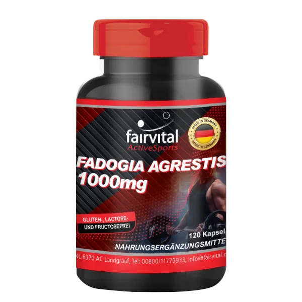 Fadogia Agrestis 1000mg Fadogia Agrestis 1000mg