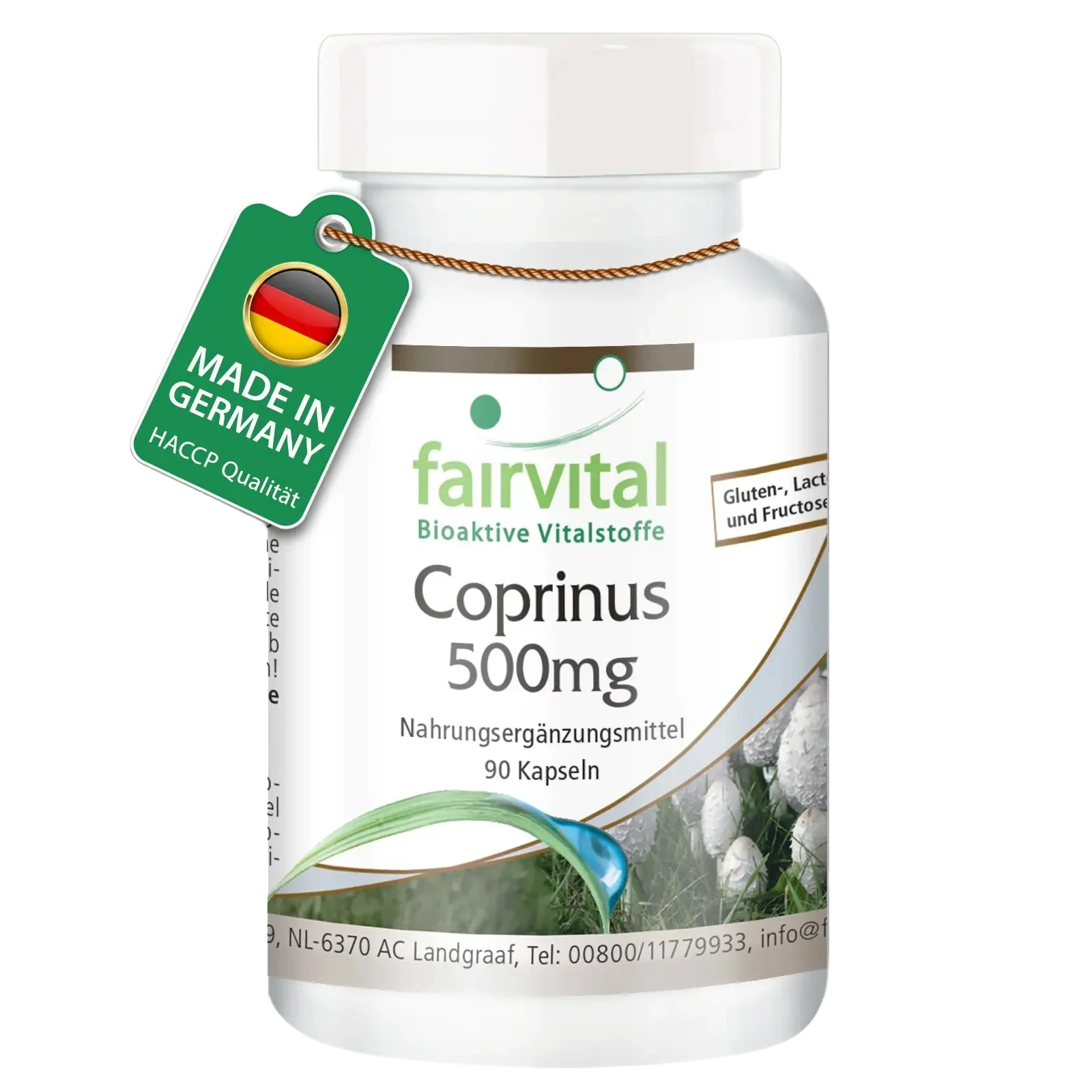 Coprinus 500mg - 90 Kapseln - Coprinus comatus (Spargelpilz) - Hochdosiert und Vegan | Fairvital Coprinus 500mg - 90 Kapseln - Coprinus comatus (Spargelpilz) - Hochdosiert und Vegan | Fairvital