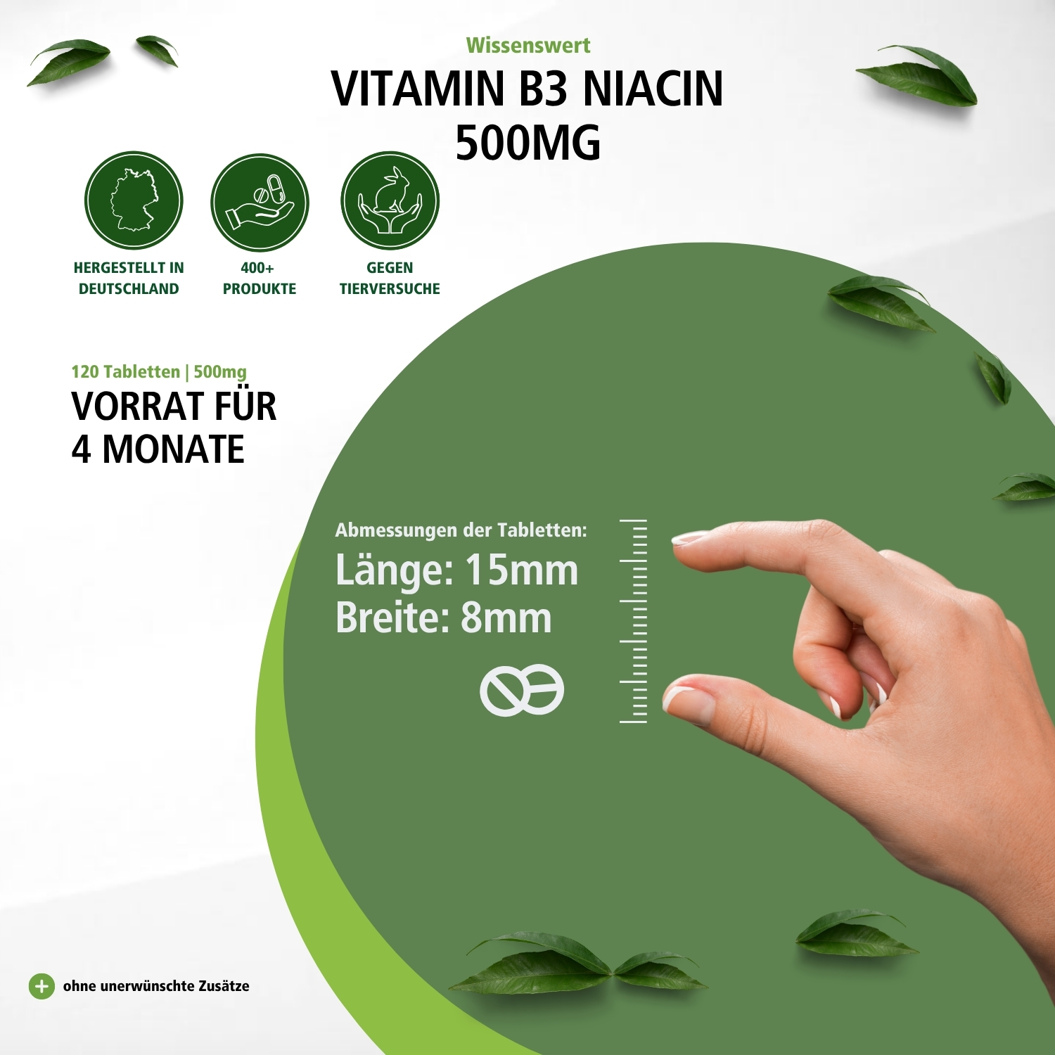 Vitamin B3 Niacin 500mg
