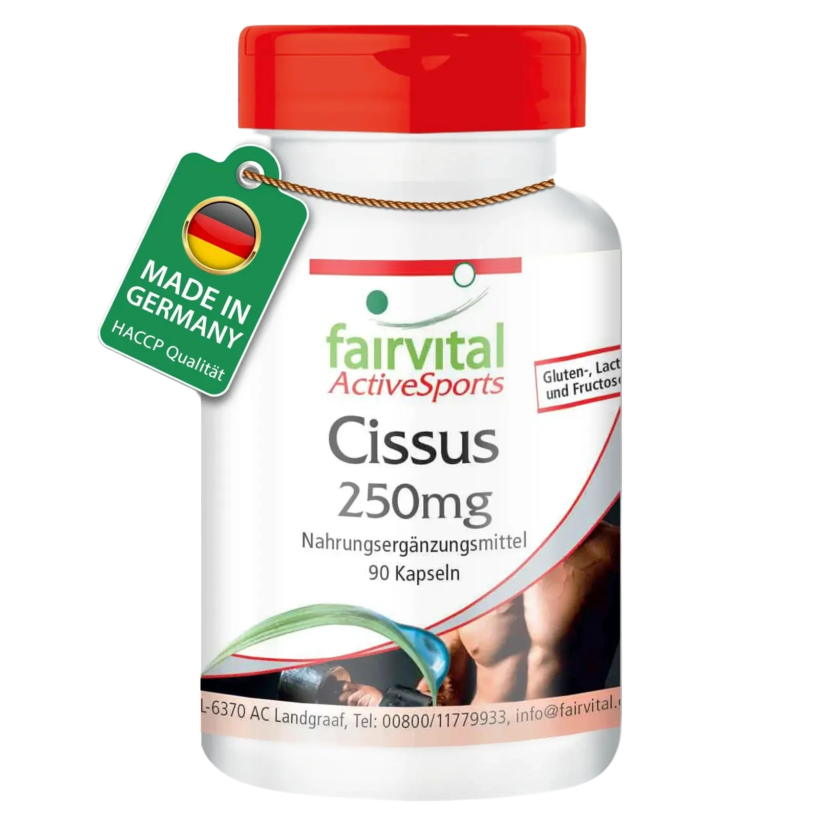 Cissus 250mg - 90 Kapseln - Cissus Quadrangularis - Hochdosiert und Vegan | Fairvital Cissus 250mg - 90 Kapseln - Cissus Quadrangularis - Hochdosiert und Vegan | Fairvital