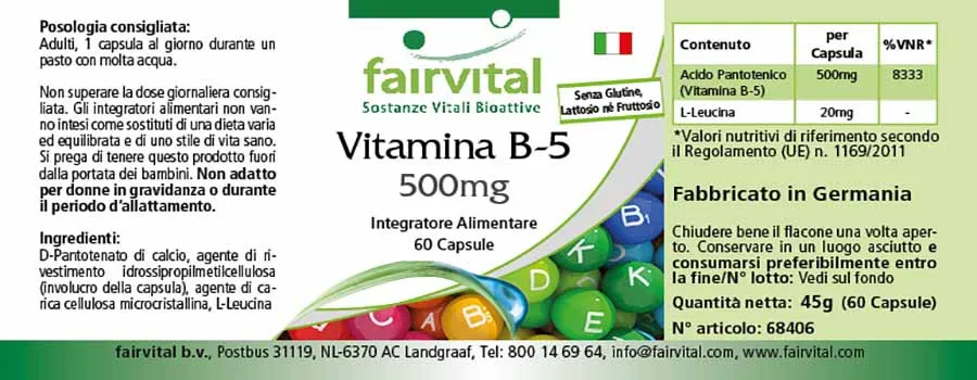 Vitamina B-5 500mg - 60 Cápsulas