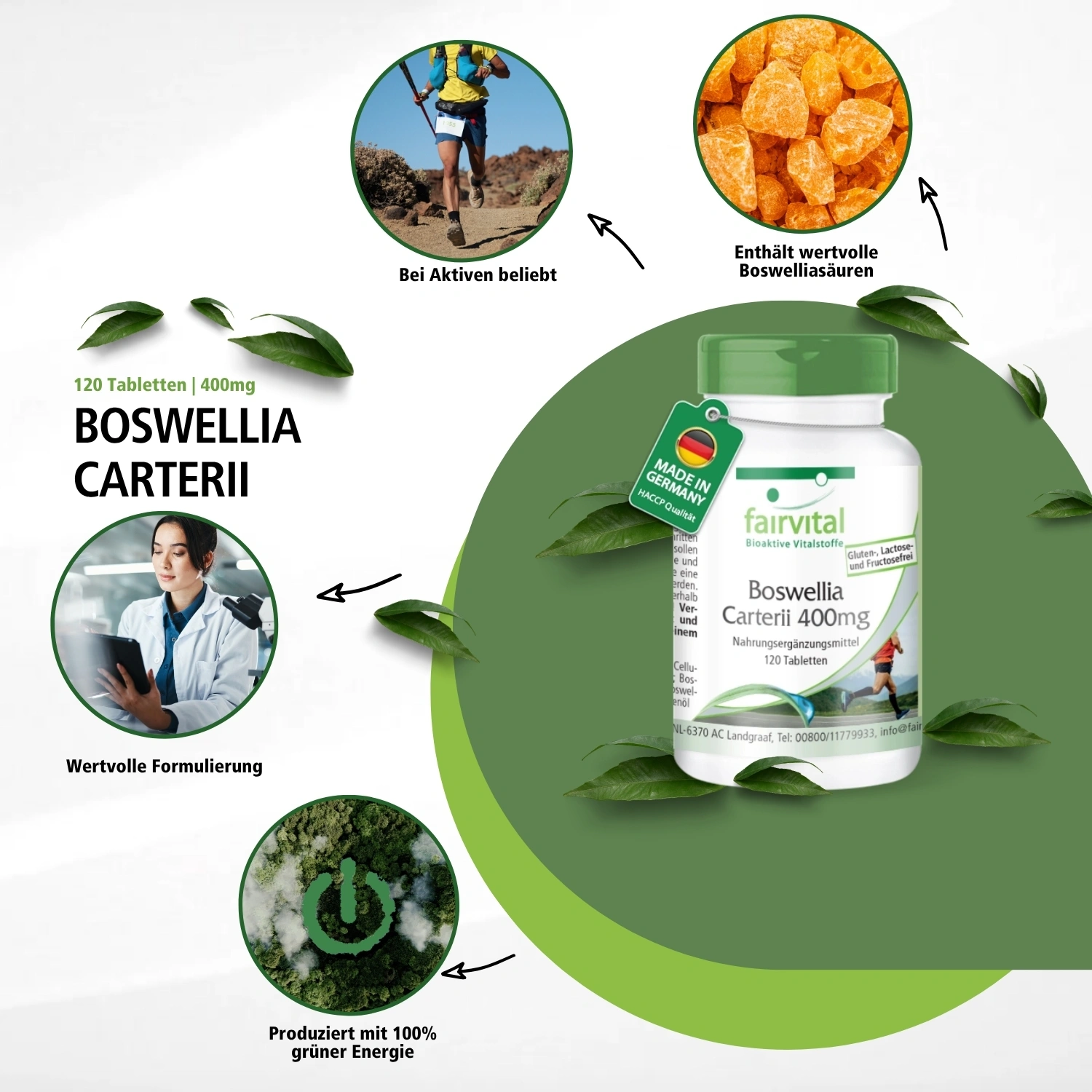 Boswellia Carterii 400mg - 120 Tabletten - Afrikanischer Weihrauch-Extrakt - Hochdosiert | Fairvital