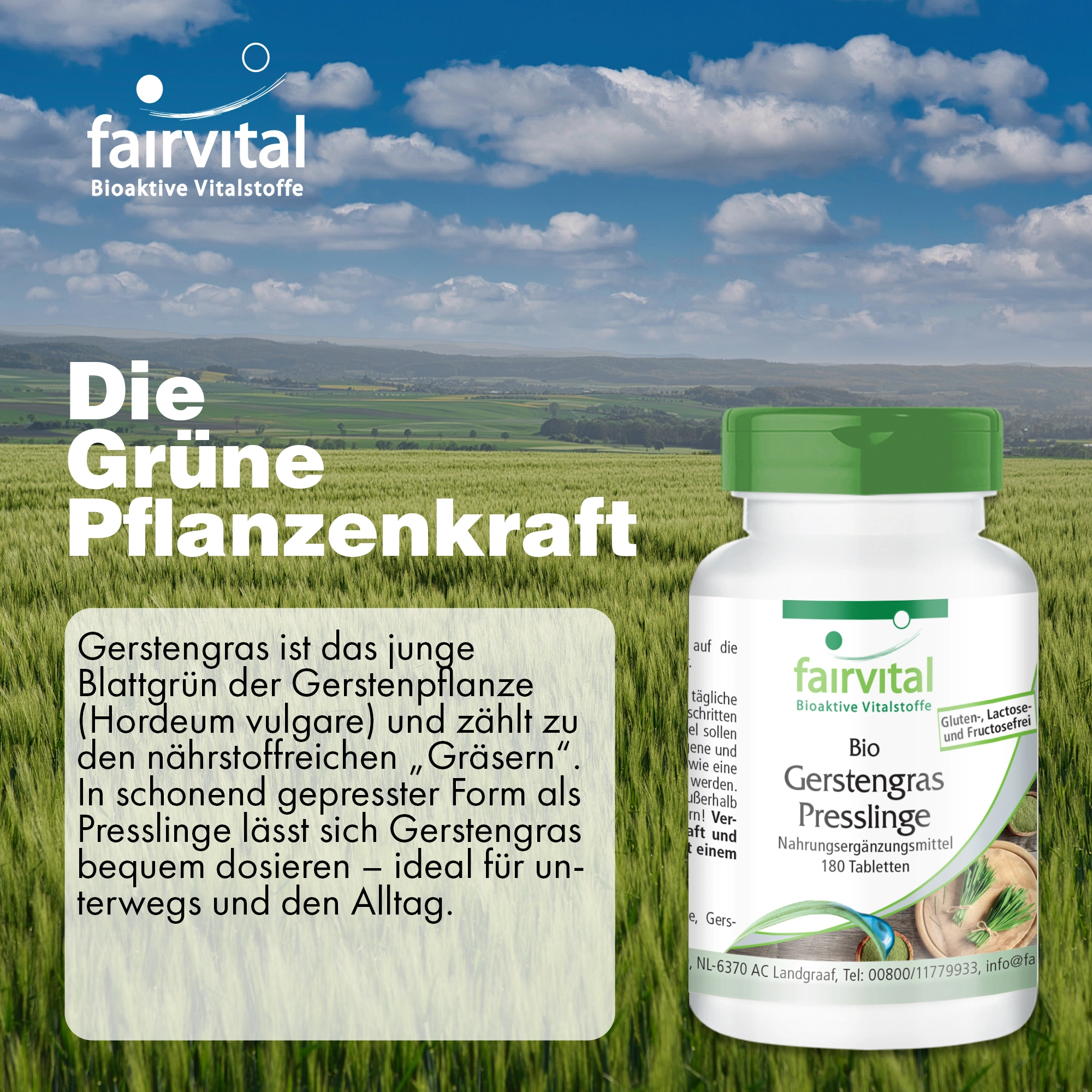Bio Gerstengras Presslinge - 180 Tabletten  - Hoch bioverfügbar - Hochdosiert und Vegan | Fairvital