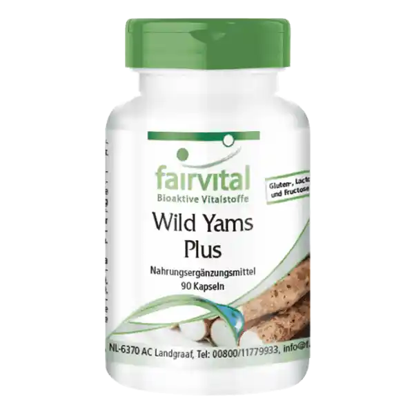 Wild Yams Plus - 90 capsules
