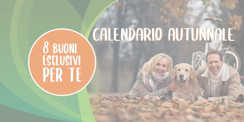 finish-page-desktop-it-herbstkalender-fairvital-2024