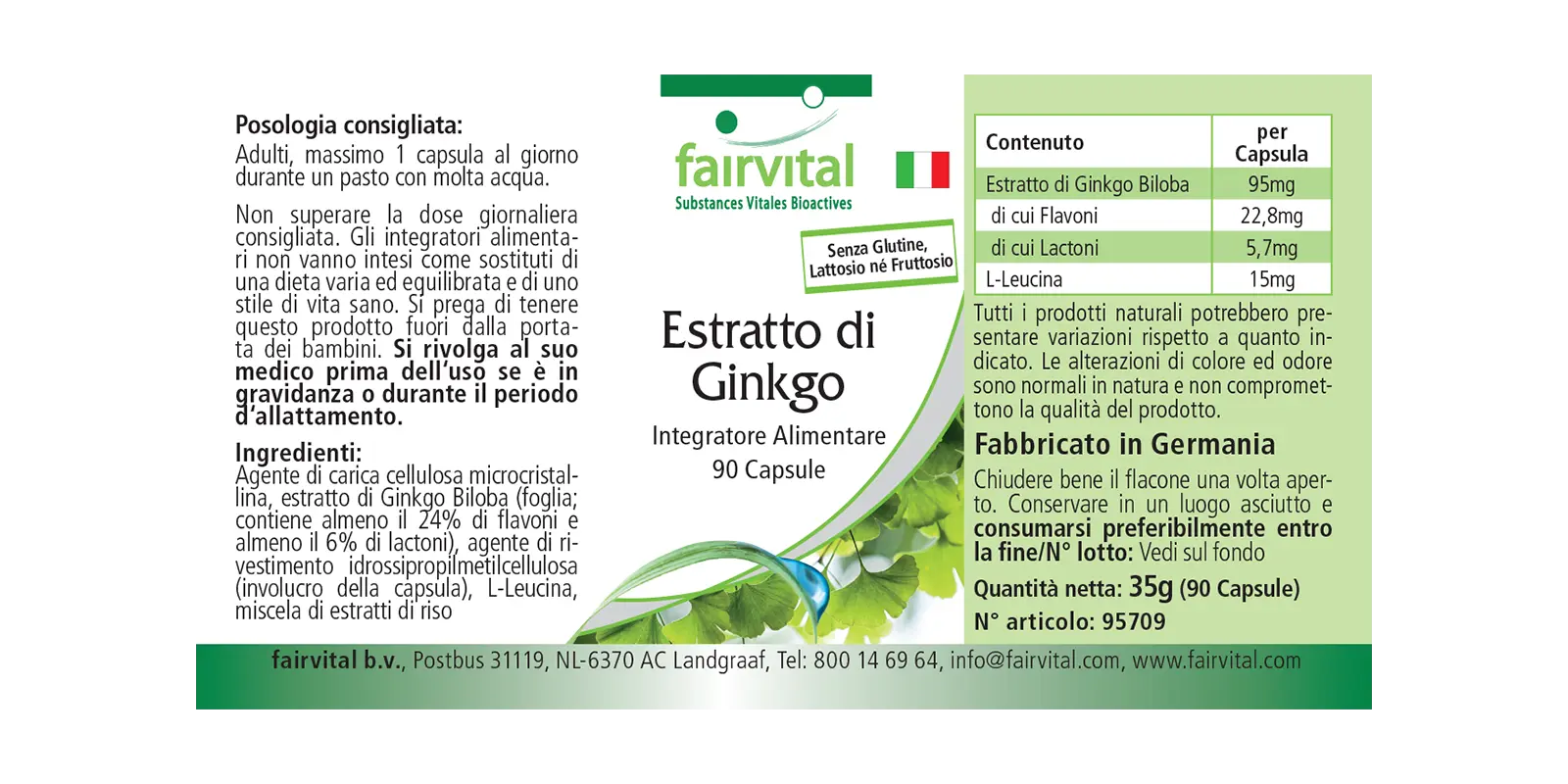 Estratto di Ginkgo 100mg - 90 capsule Estratto di Ginkgo 100mg - 90 capsule
