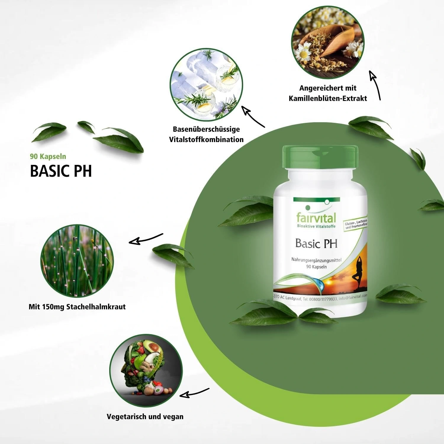 Basic PH - Basen-Kapseln - 90 Kapseln - mit Calcium, Magnesium uvm. - für Knochen, Muskeln uvm. | Fairvital