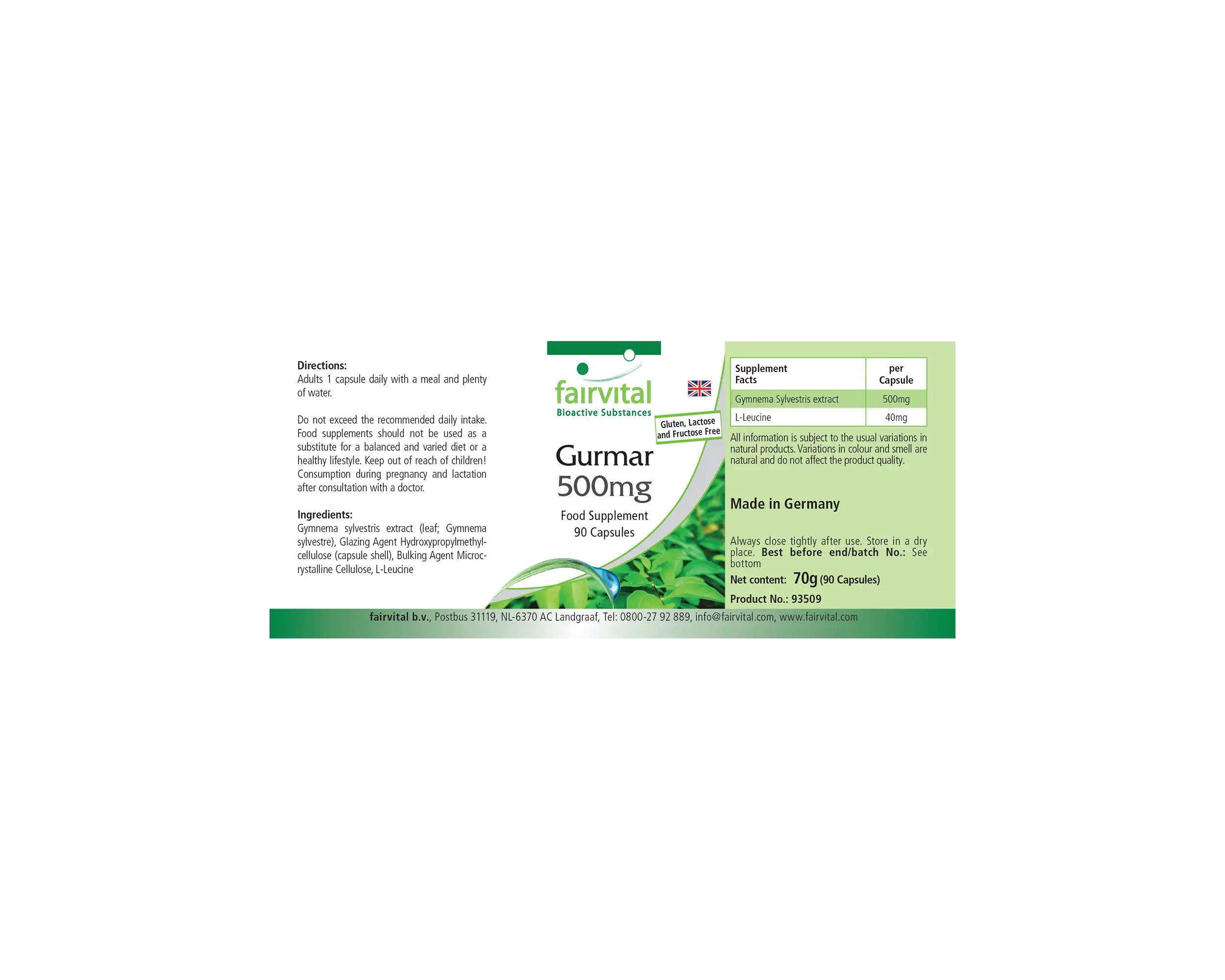 Gurmar 500mg – Gymnema Sylvestre – 90 Cápsulas – Vegano | Fairvital
