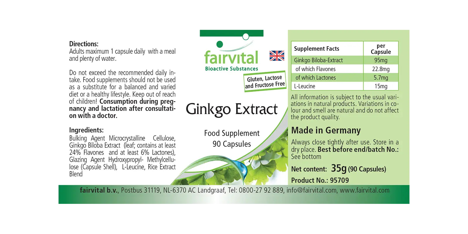 Estratto di Ginkgo 100mg - 90 capsule Estratto di Ginkgo 100mg - 90 capsule