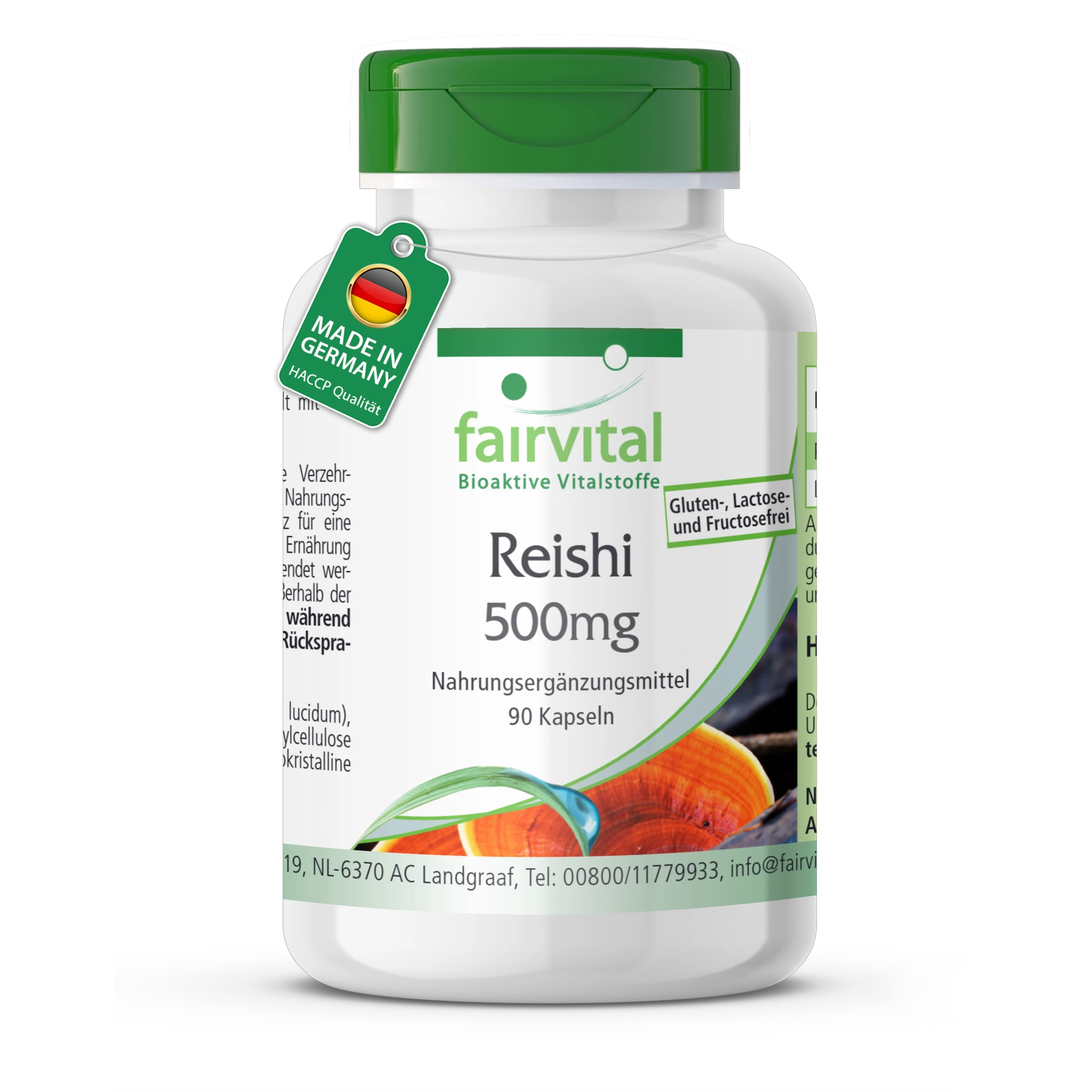 Reishi 500mg