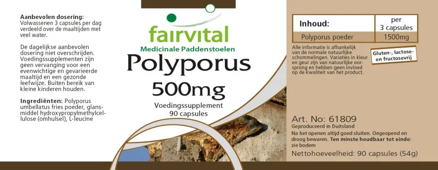 Polyporus 500mg