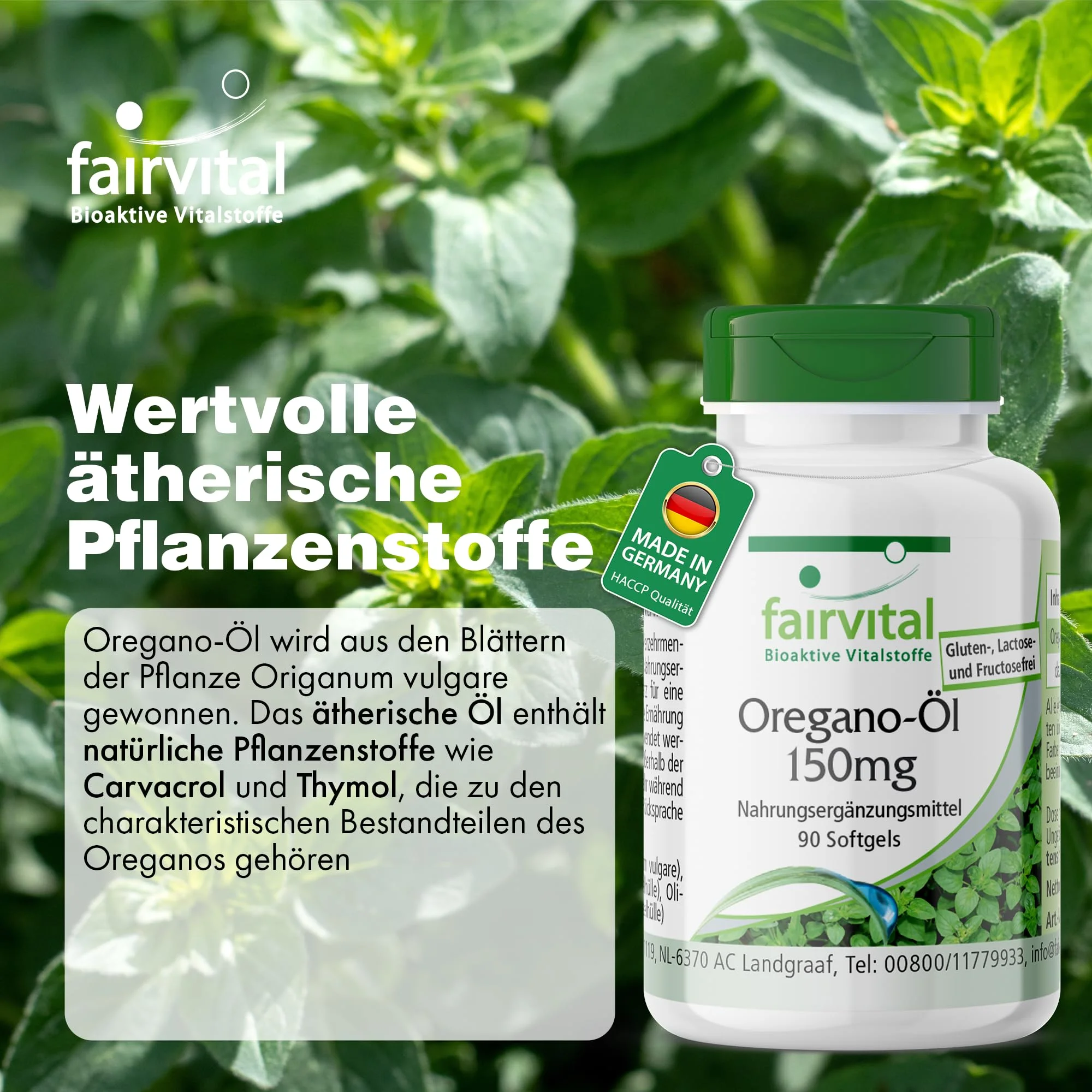 Oregano-Öl 150mg - 90 Softgels - Schluckfreundlich - Oregano Oil 10:1 Extrakt - Origanum vulgare - Hochdosiert | Fairvital