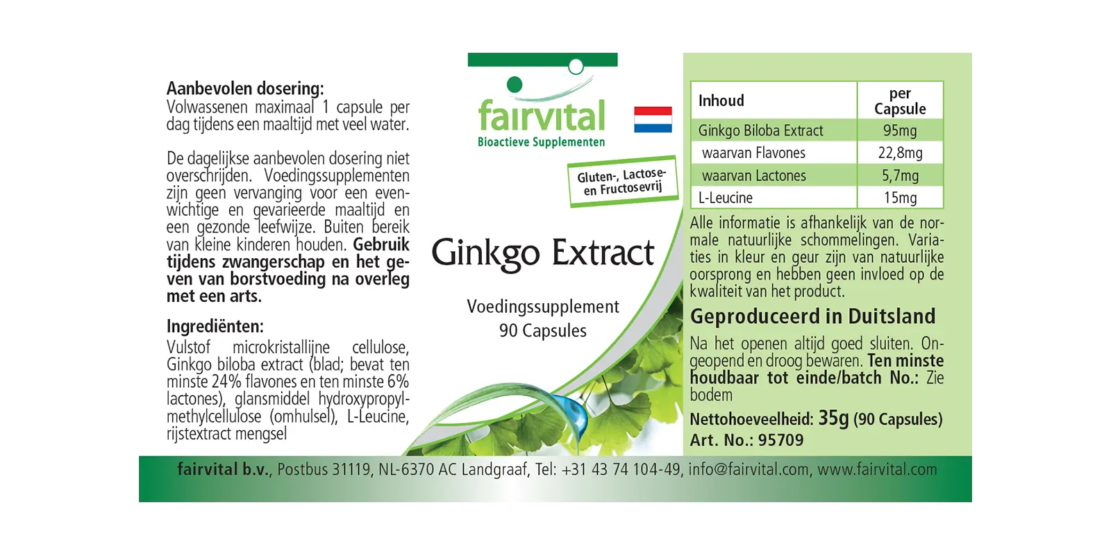Estratto di Ginkgo 100mg - 90 capsule Estratto di Ginkgo 100mg - 90 capsule